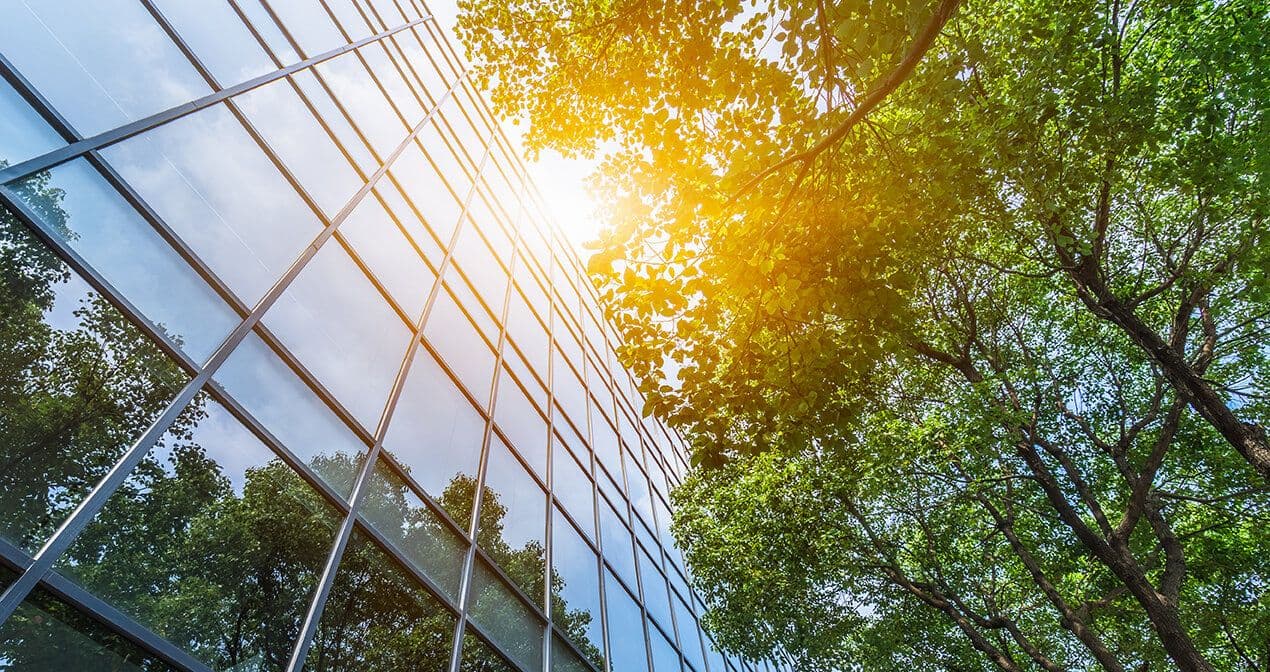 The Future of Sustainable Business: Enterprise and the Environment