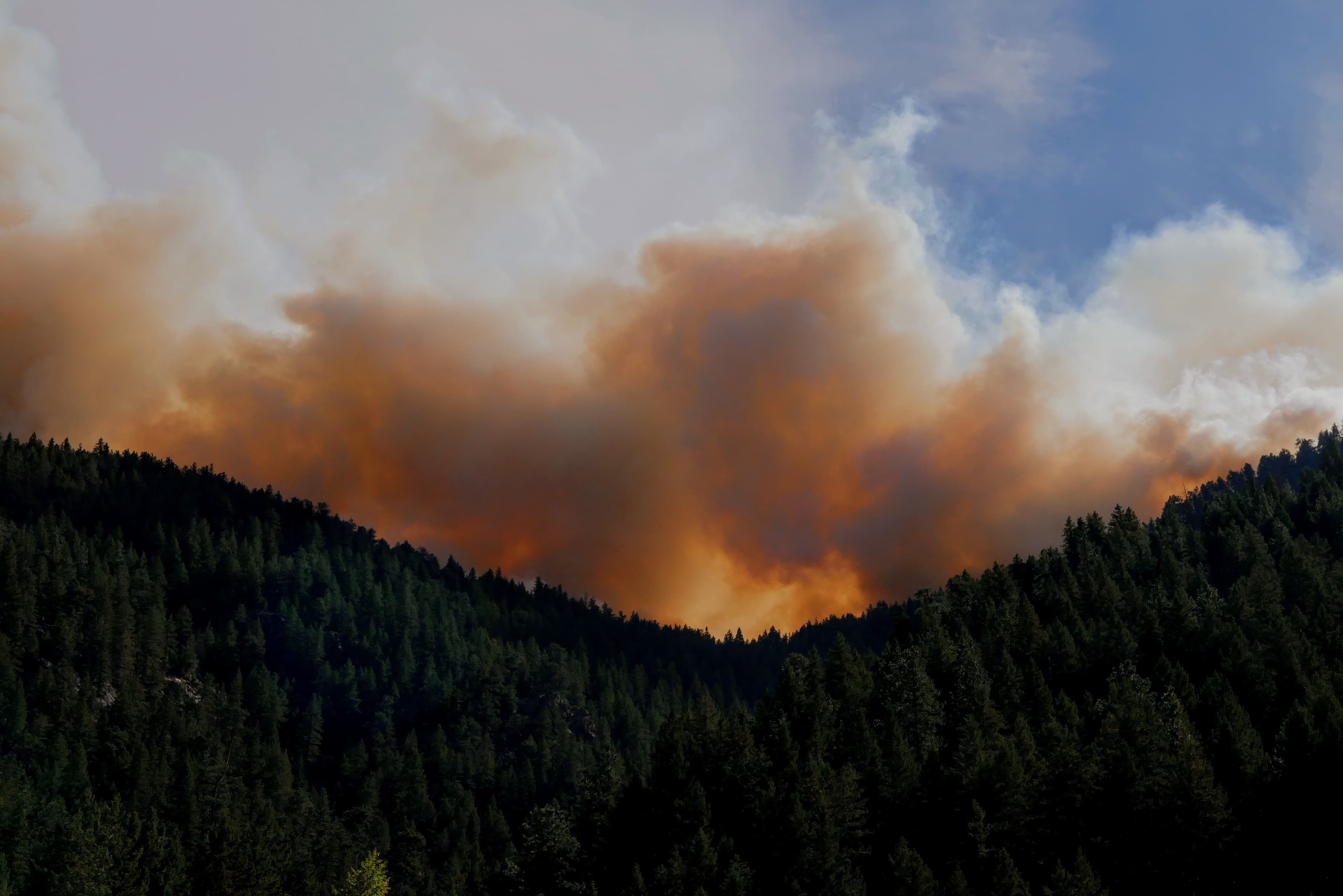 COP27 Fails to Resolve One Major Source of CO2 Emissions