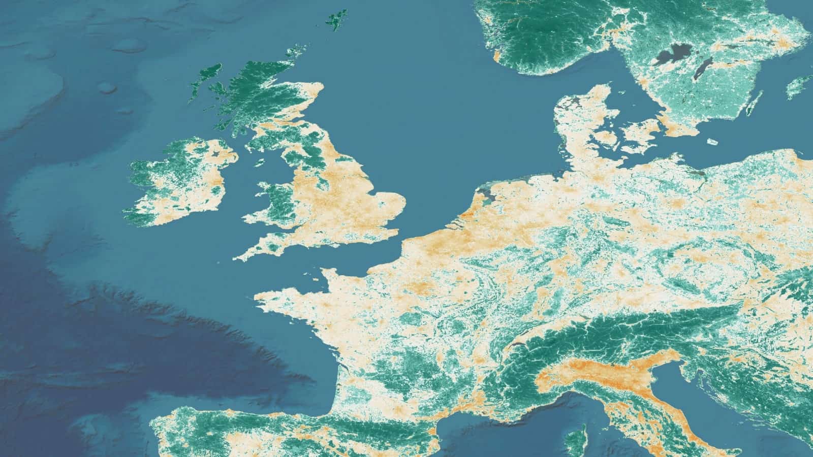 TNFD, UN SSE Release Nature Reporting Template for Global Markets