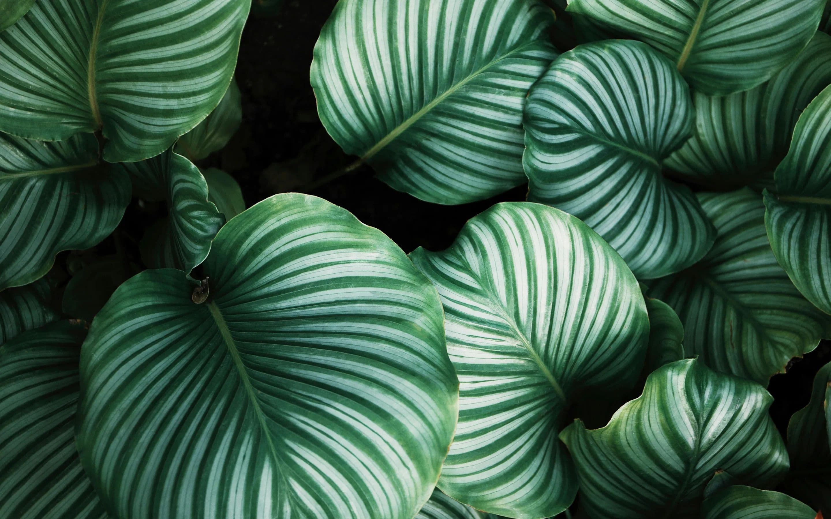 Planet. Business. Profit. The Eco-Digital Equation