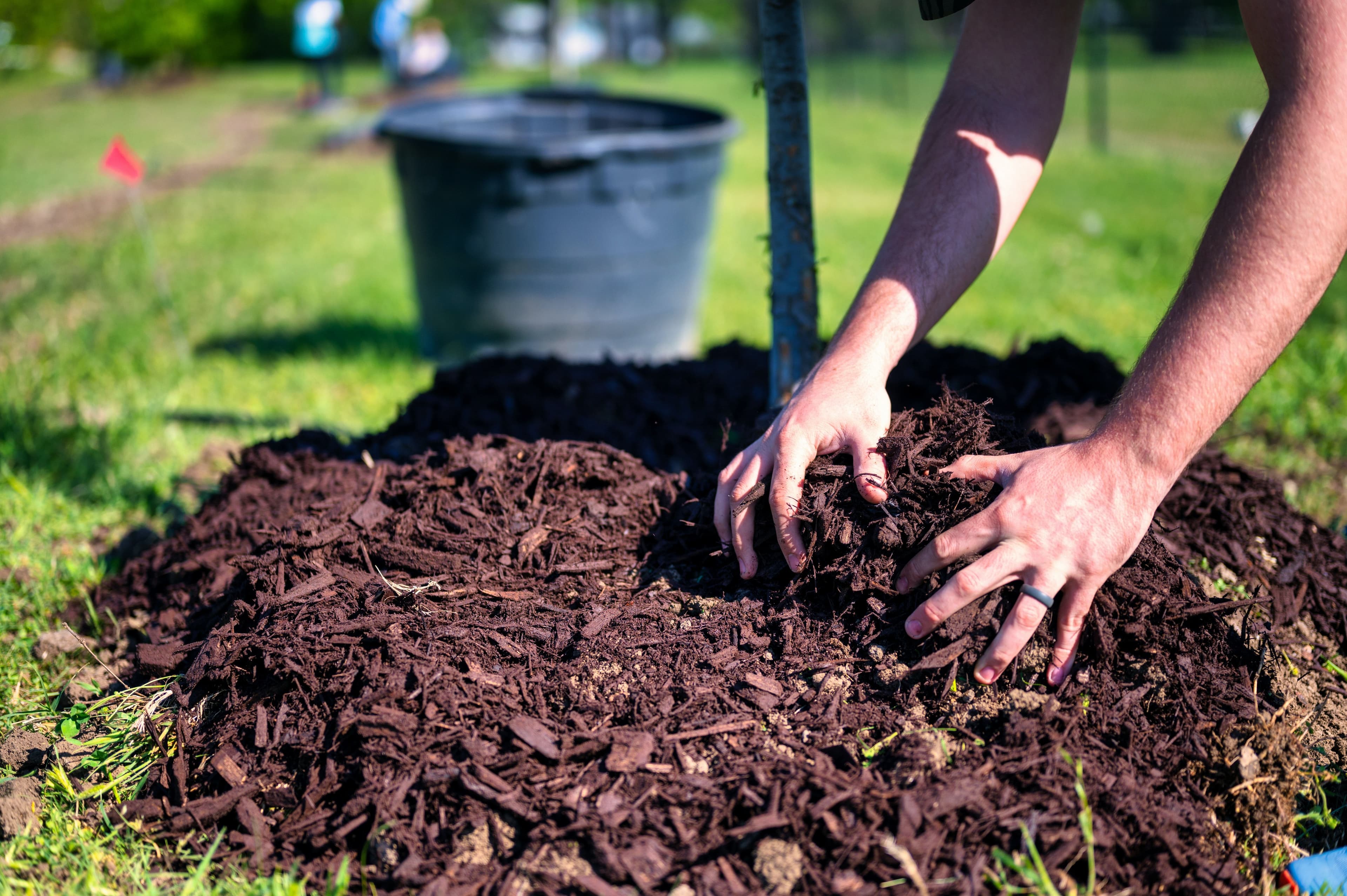 Martin Audio Outlines Green Policy, Including Commitment To Plant 50,000 Trees