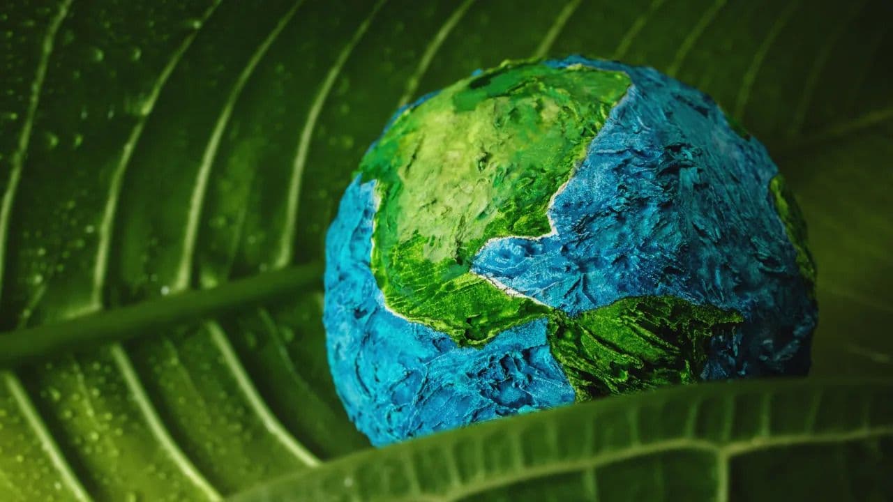 UNFI's Impact Report: Progress for People & Planet