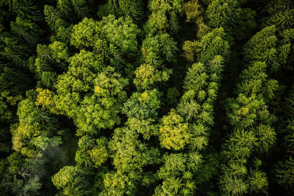GSB Uses ESG Scores for Corporate Loans