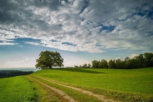 Professional Certificate in Sustainable & Inclusive Landscapes