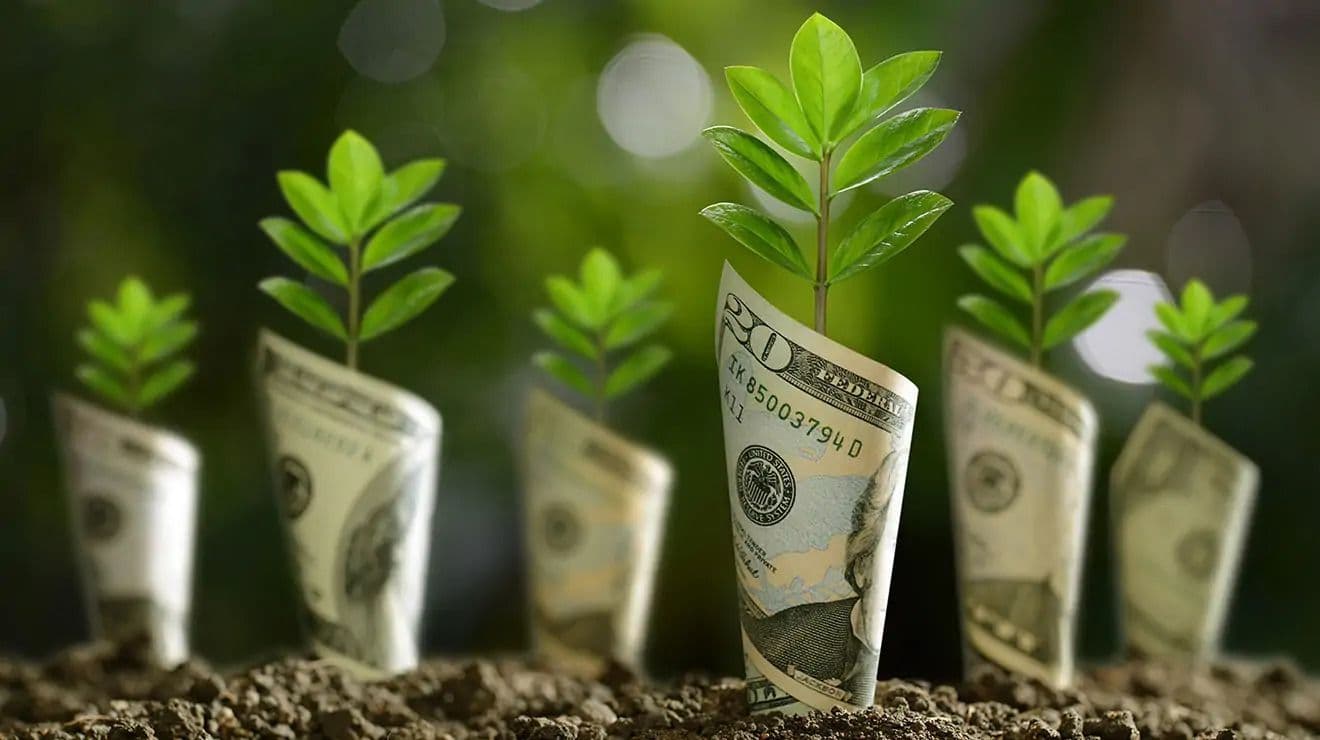 FSC Proposals Aim to Eliminate Greenwashing