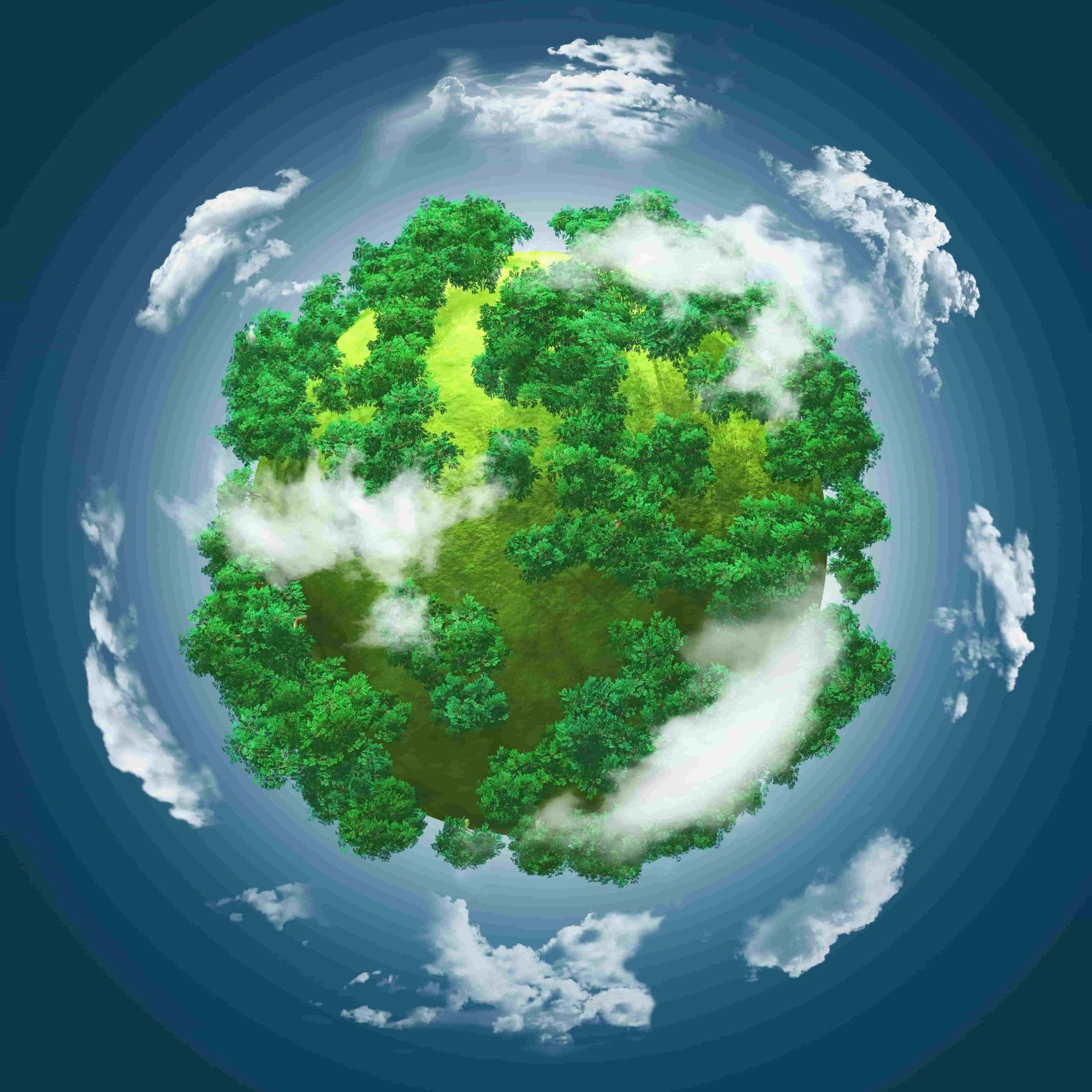 The Global Net Zero Movement: How Countries Are (and Aren’t) Getting There