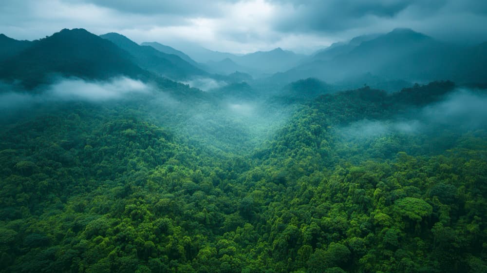 Amundi Launches Euro Credit Biodiversity Fund for Responsible Investing