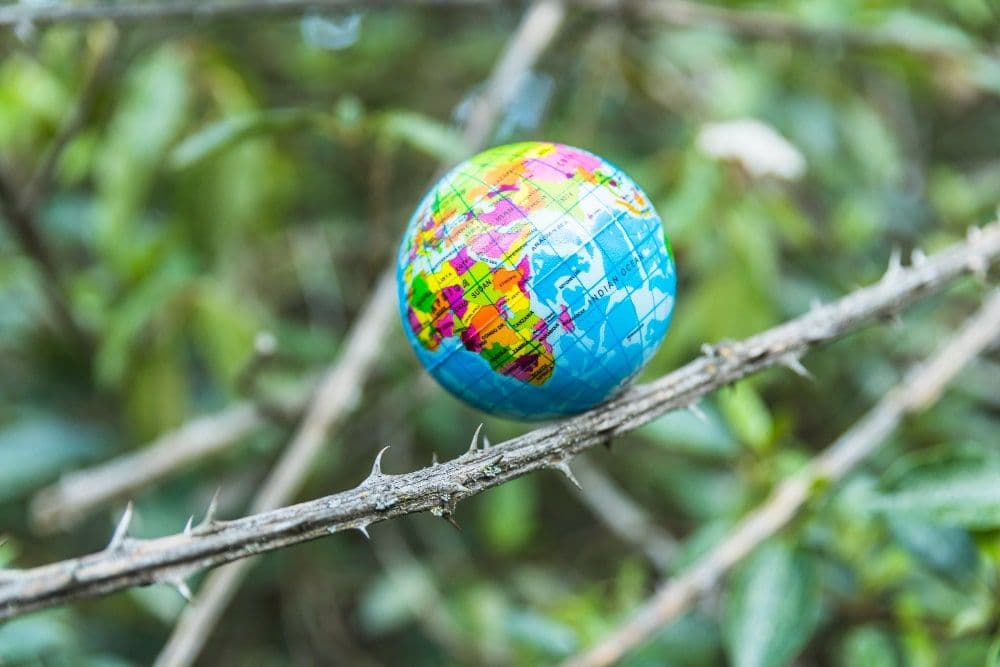 European Commission Consults Public on Climate Resilience