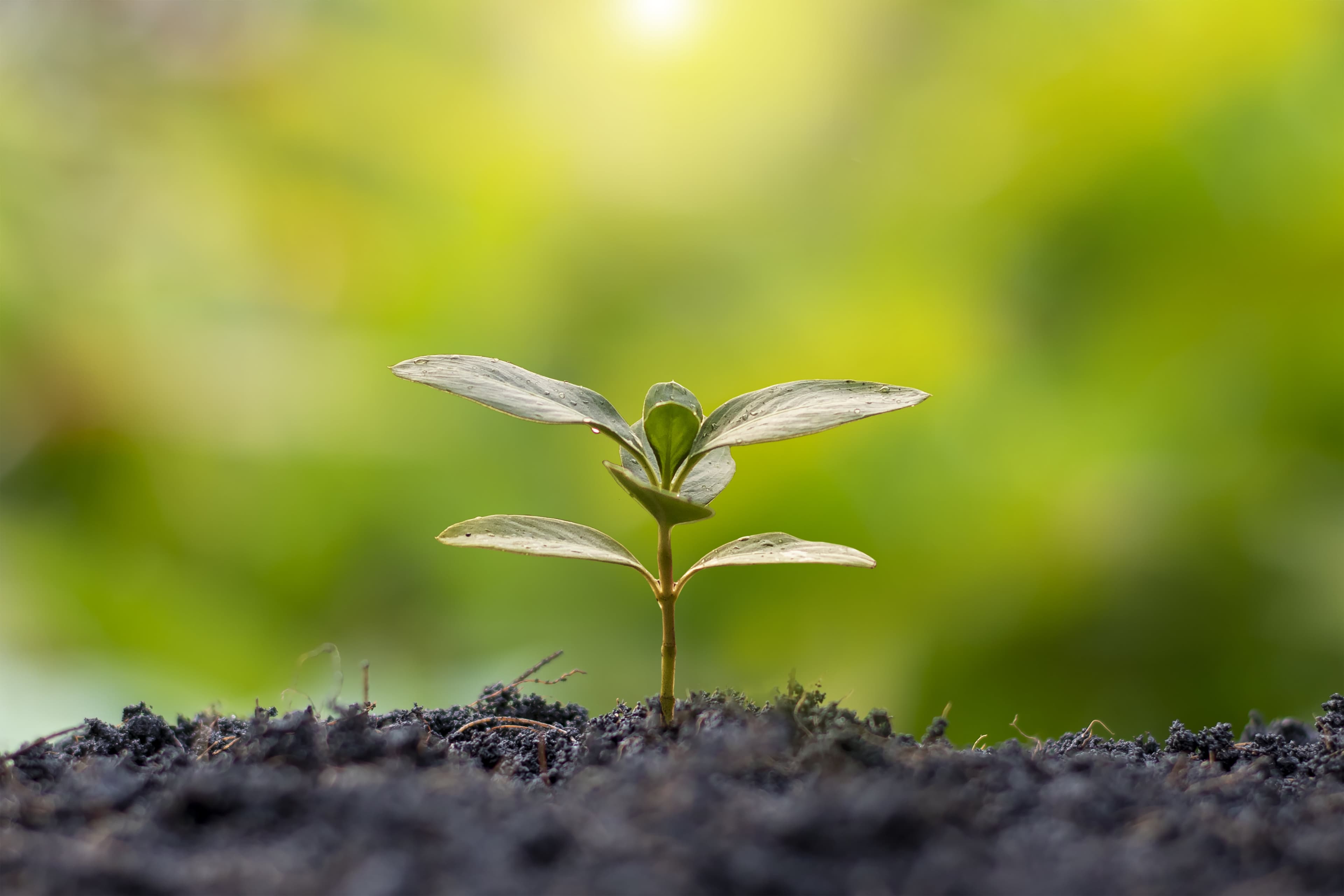 HSBC, Google Cloud Team Up for Climate Tech Solutions