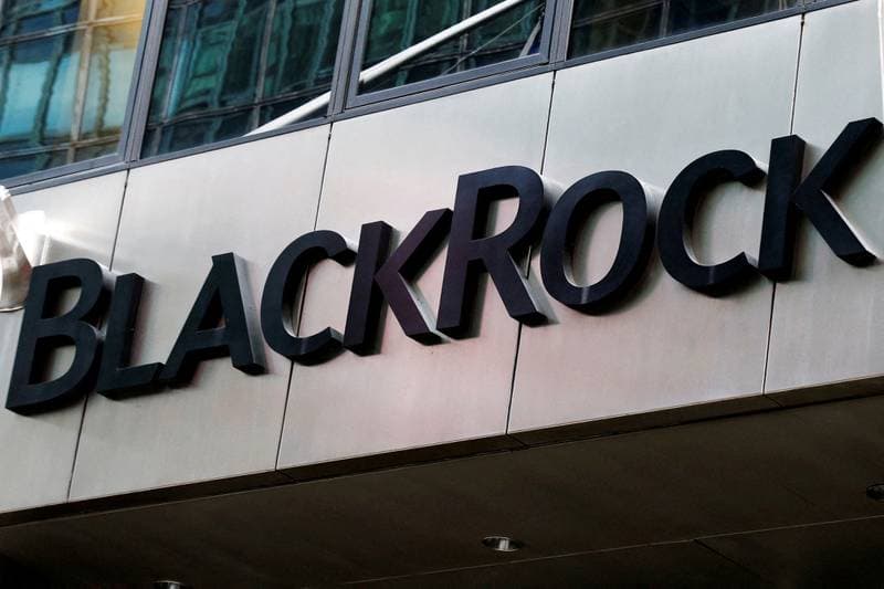 BlackRock CEO Says Recent Global Events Could 'Accelerate' Energy Transition Over the Long Term