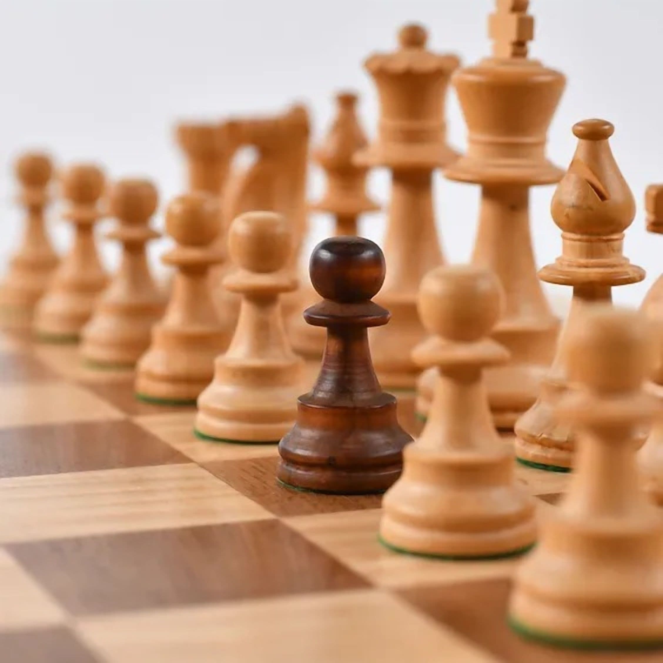 Strategy, Opportunity, and Transition Planning in Climate and Sustainability