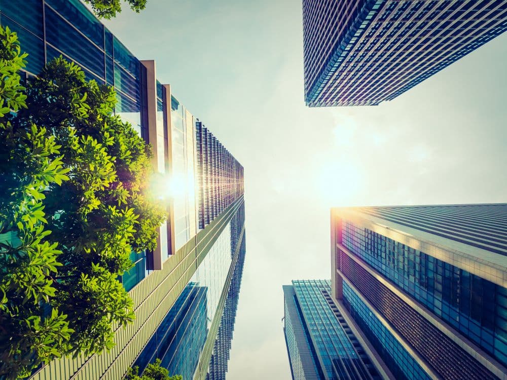 ScanSource Releases 2022 ESG Report
