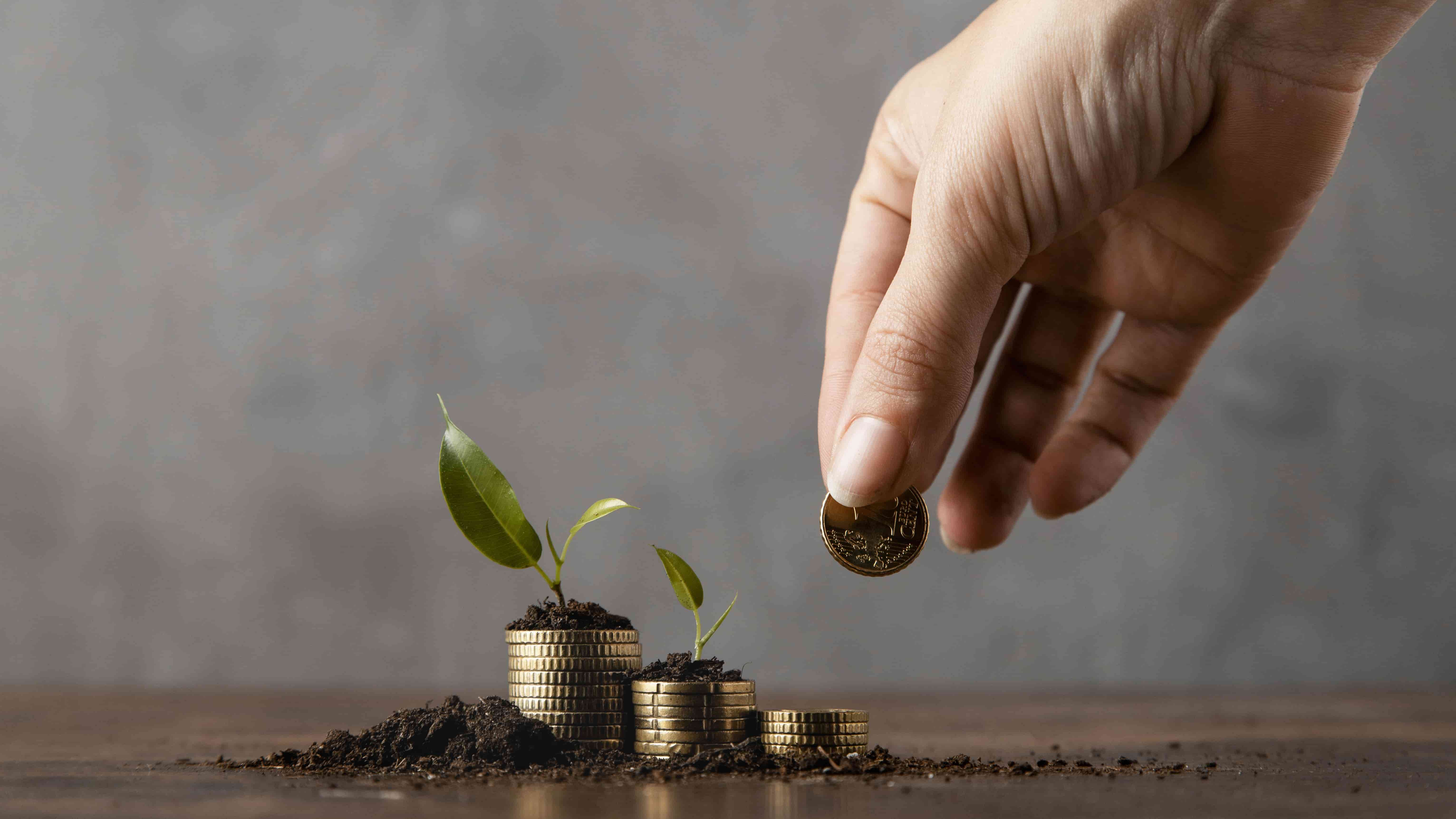Why ESG Providers Matter: The Backbone of Sustainable Investing