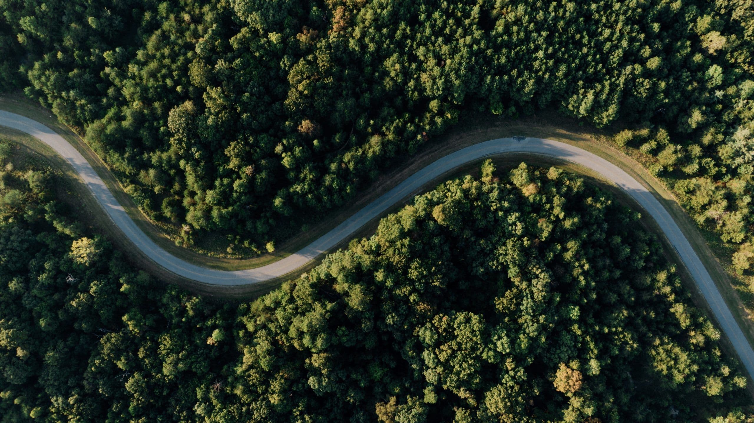 SAC Releases Decarbonisation Guide for Members
