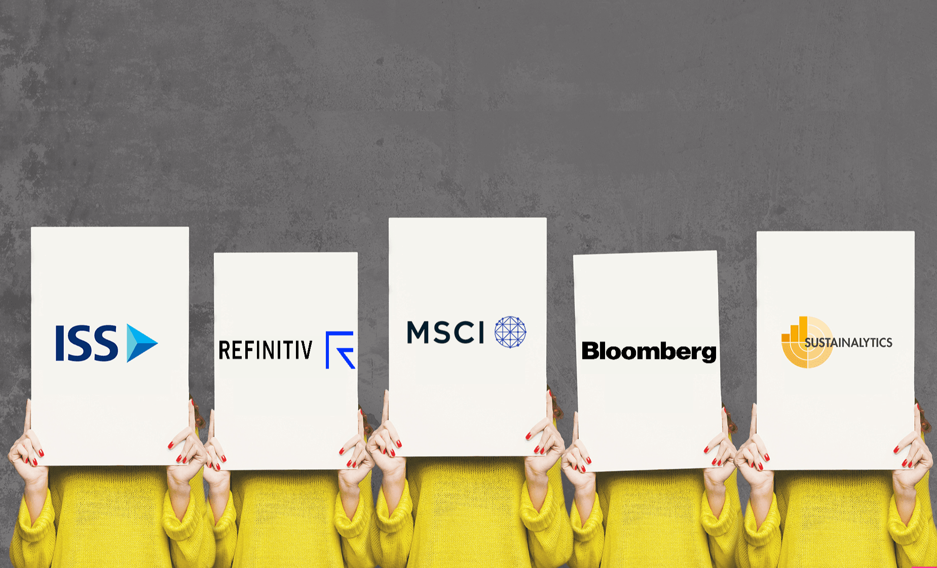 Comparing ESG Ratings Agencies: MSCI, Morningstar, Bloomberg, LSEG and More