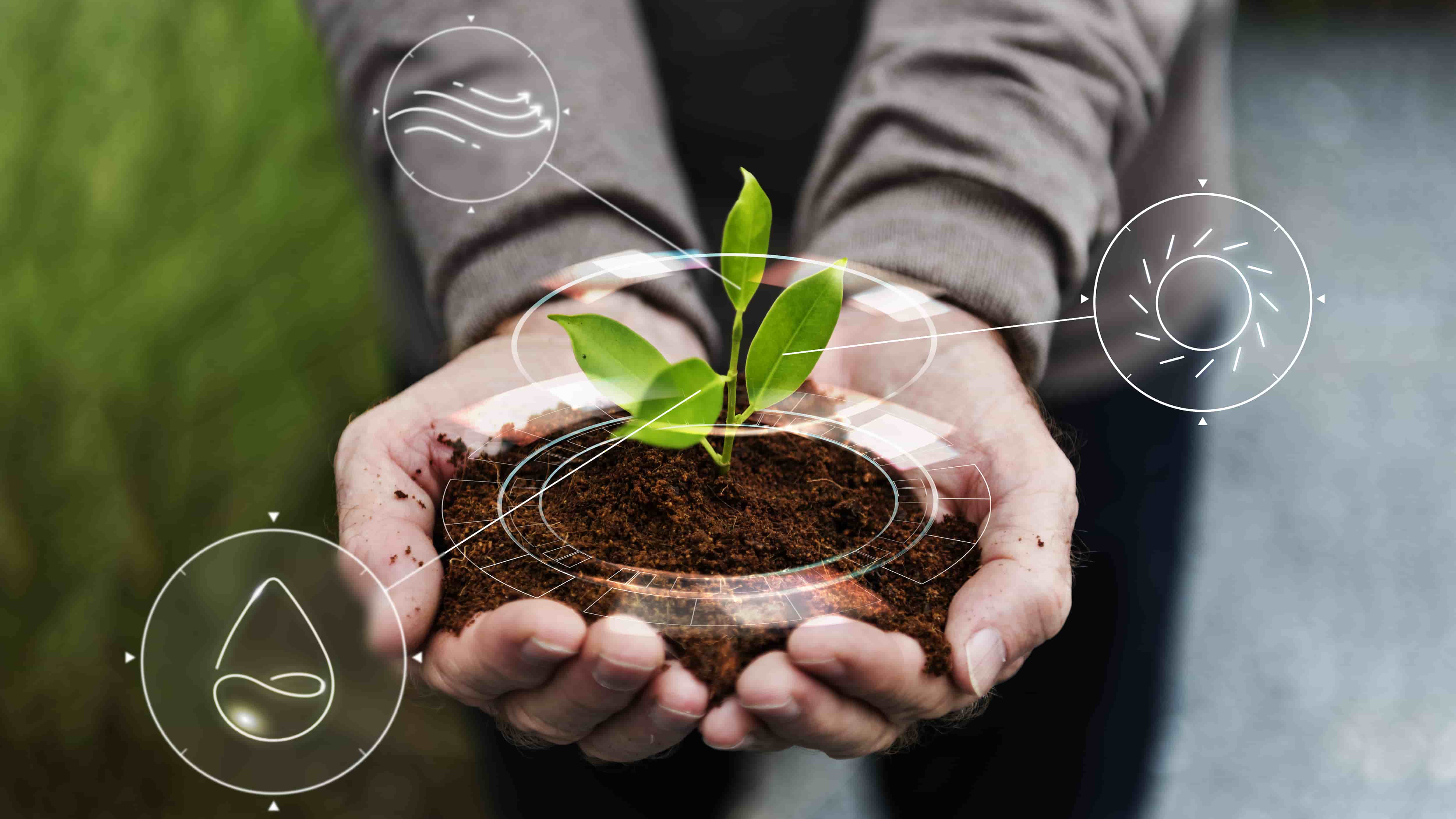 Sustainability in India: A Battle Between Ideals and Survival