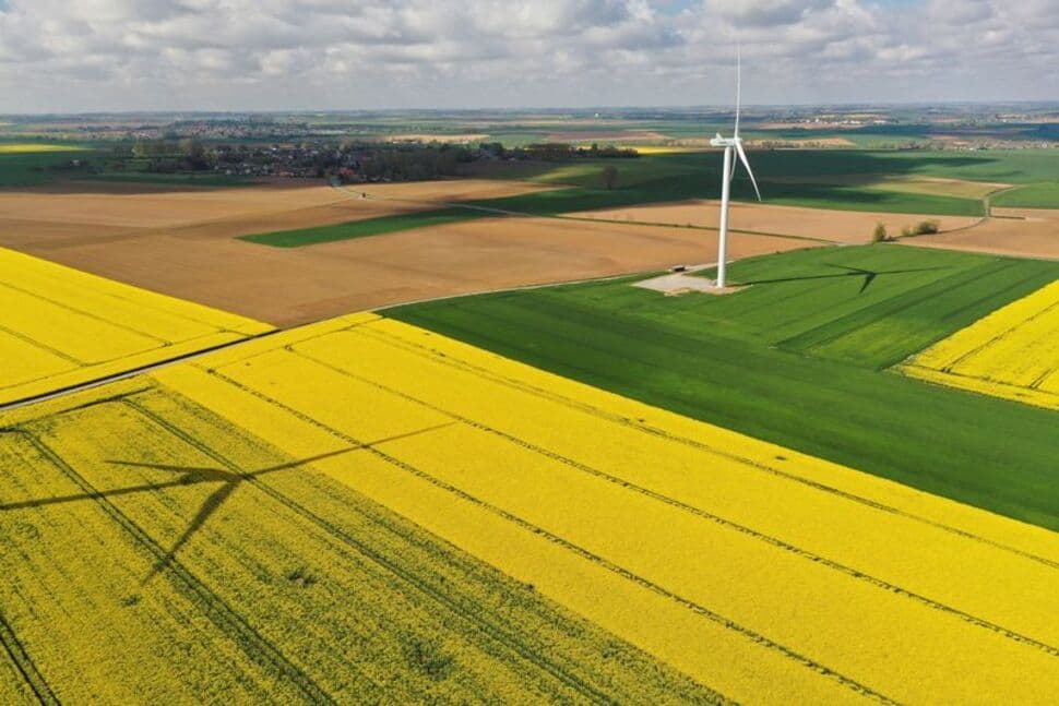 Many CEOs Think Sustainability a Top Challenge– Says Study