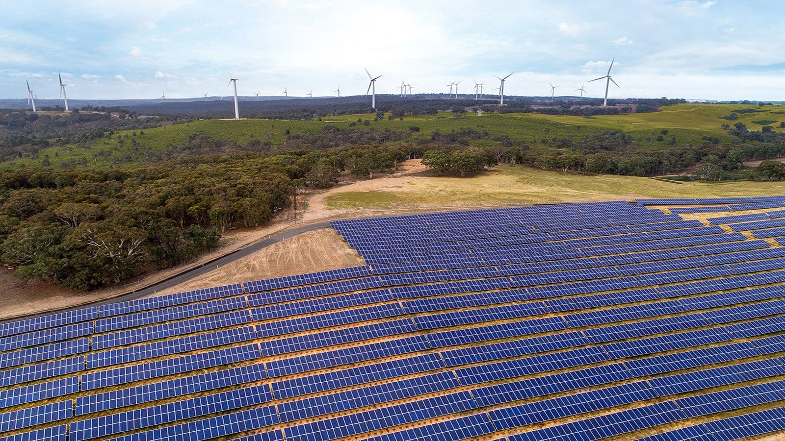 Energy & Climate Summit Sydney, 2024