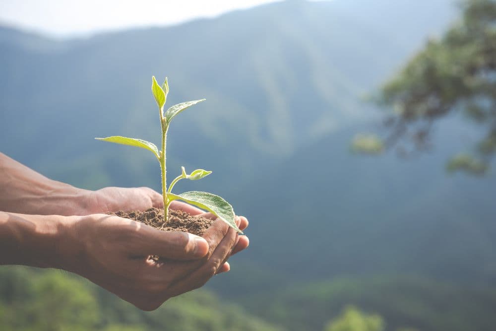 KPMG Drives ESG Growth in Singapore
