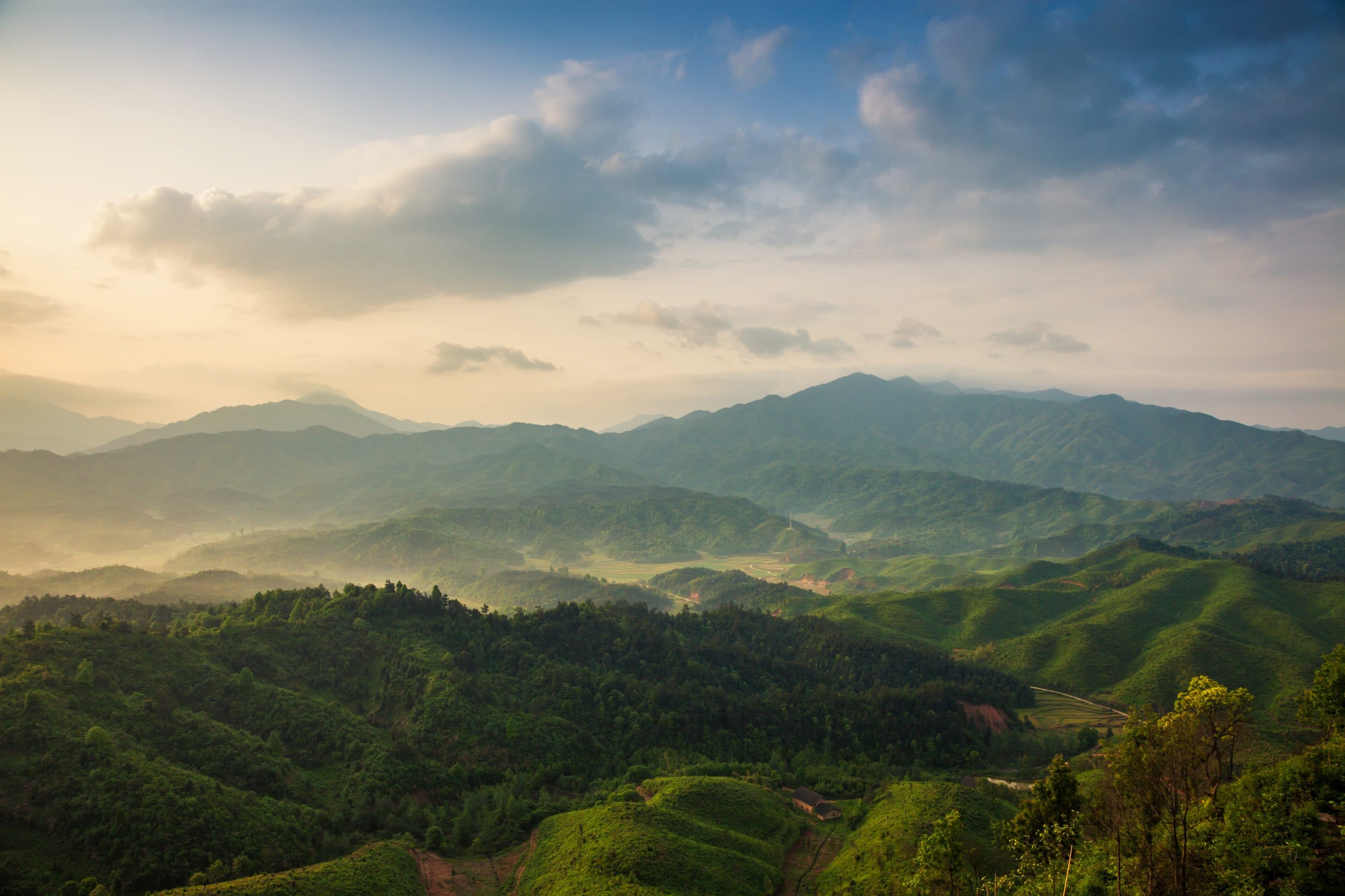 Sustainable Commodities and Landscapes Forum 2025