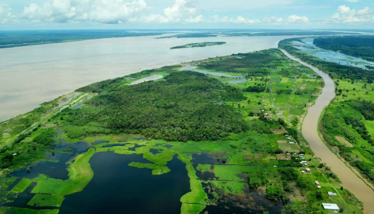 GMEX, Zumo Team Up for Carbon Credit Offering