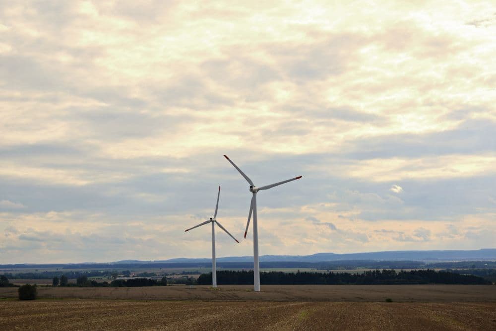 Wind Generates 30% of UK Power in 2024: NESO