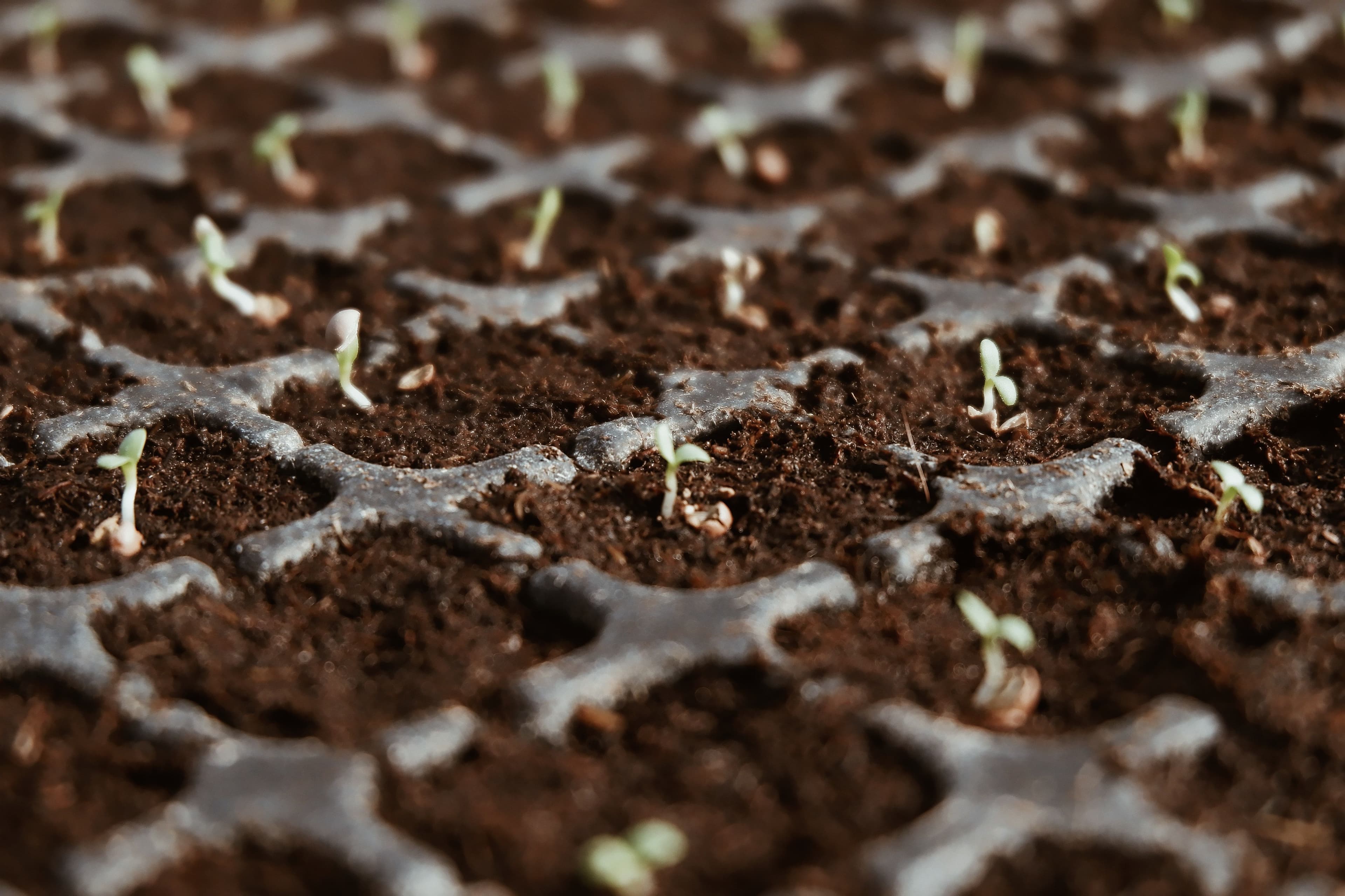 UK Environment Secretary Vows to Support Sustainable Horticultural Expansion