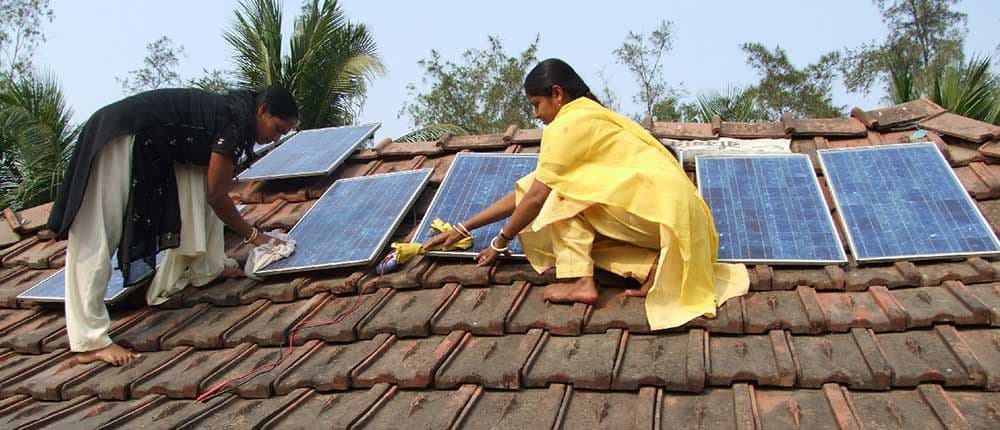 Green Jobs Up 31% on Focus on Sustainable Practices: Report