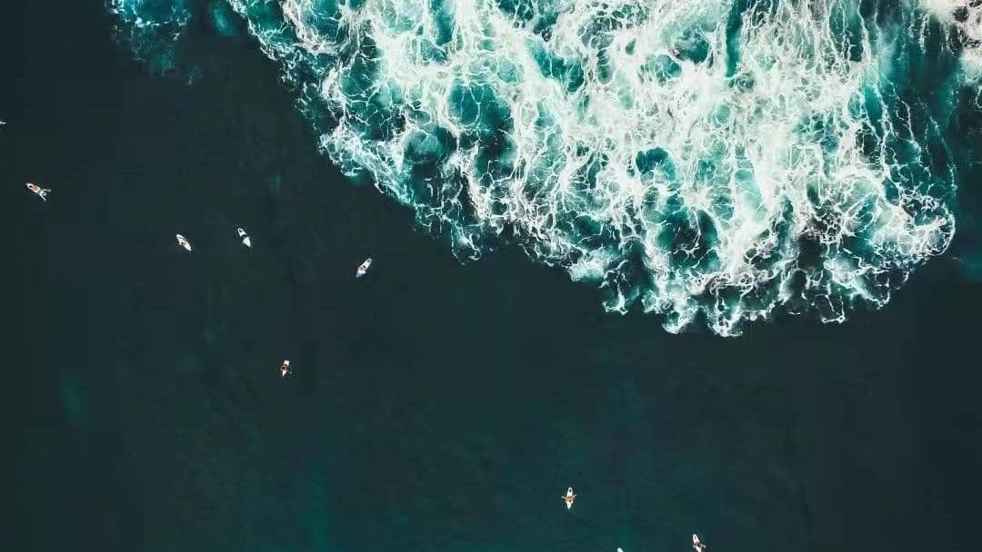 NIO Capital Rolls Out "Mission Blue" ESG Initiative