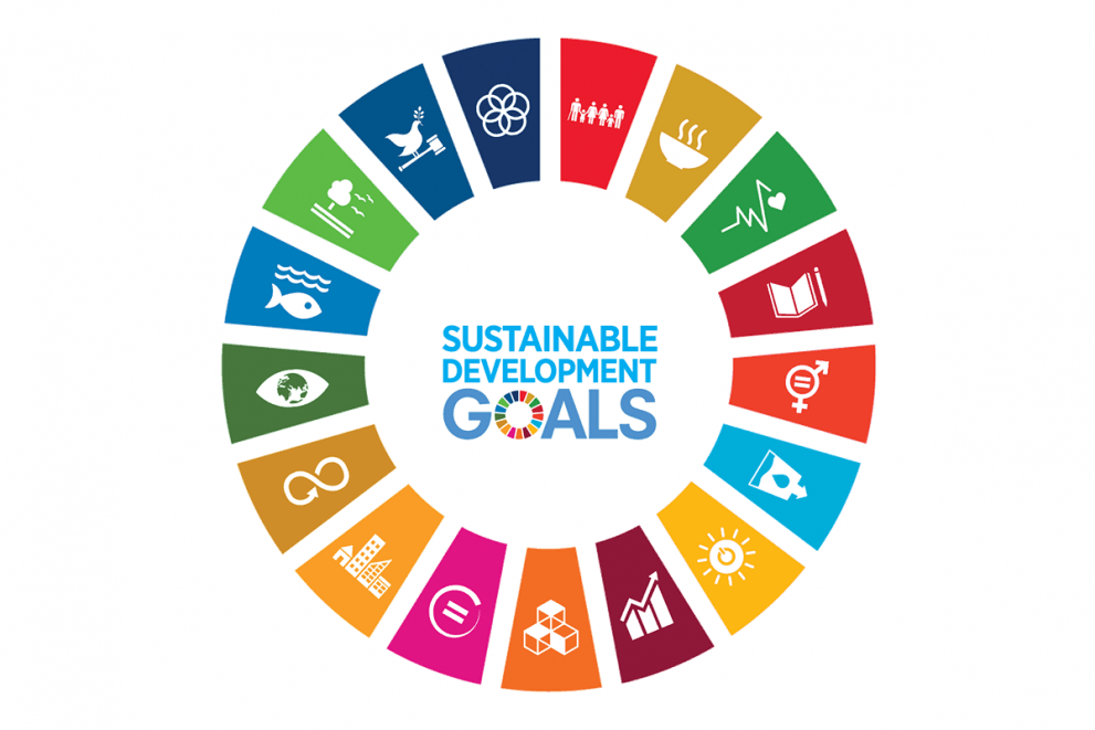 SDGs for SMEs - The Importance of UN Goals for your Business
