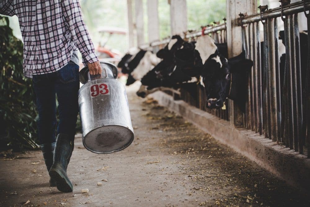 Methane Emissions Climb in Brazil’s Beef Sector