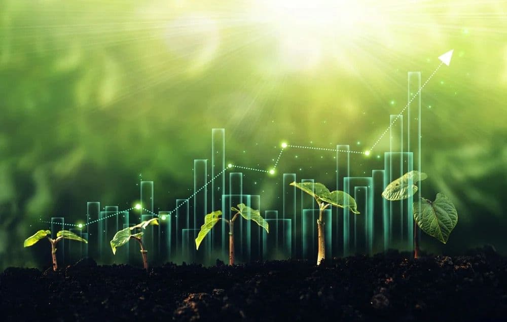 SMEs Face Barriers Accessing Green Finance