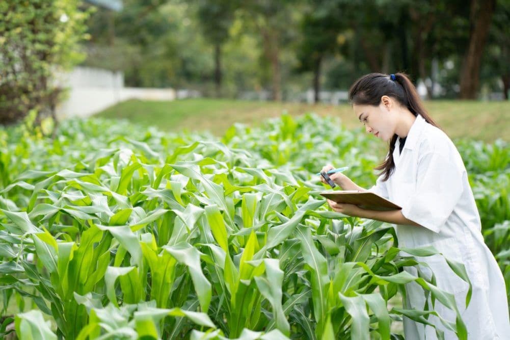 PepsiCo to Invest in Regenerative Agriculture Research
