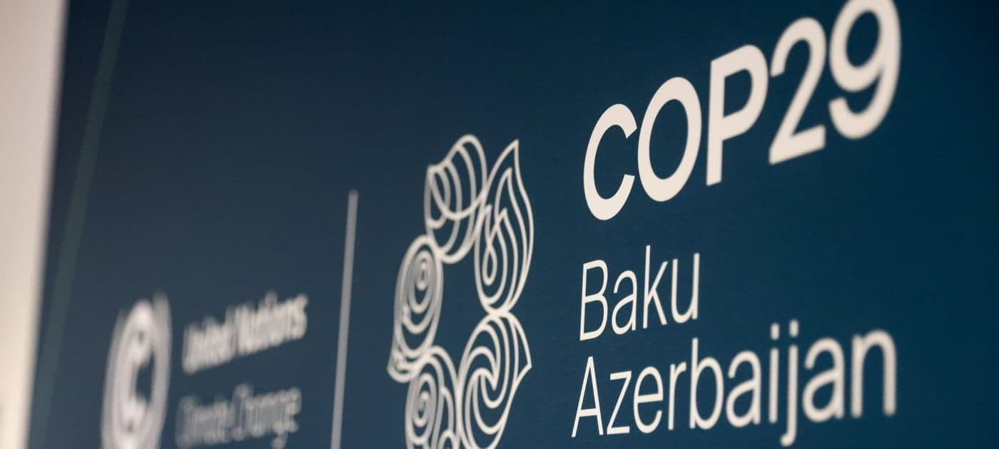 Progress and Frustration: Key Takeaways from COP29