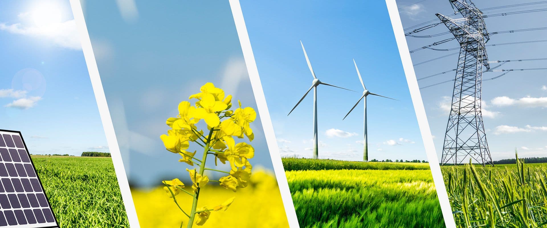 IEA, ECB, EIB: Clean Energy Key to Europe's Future