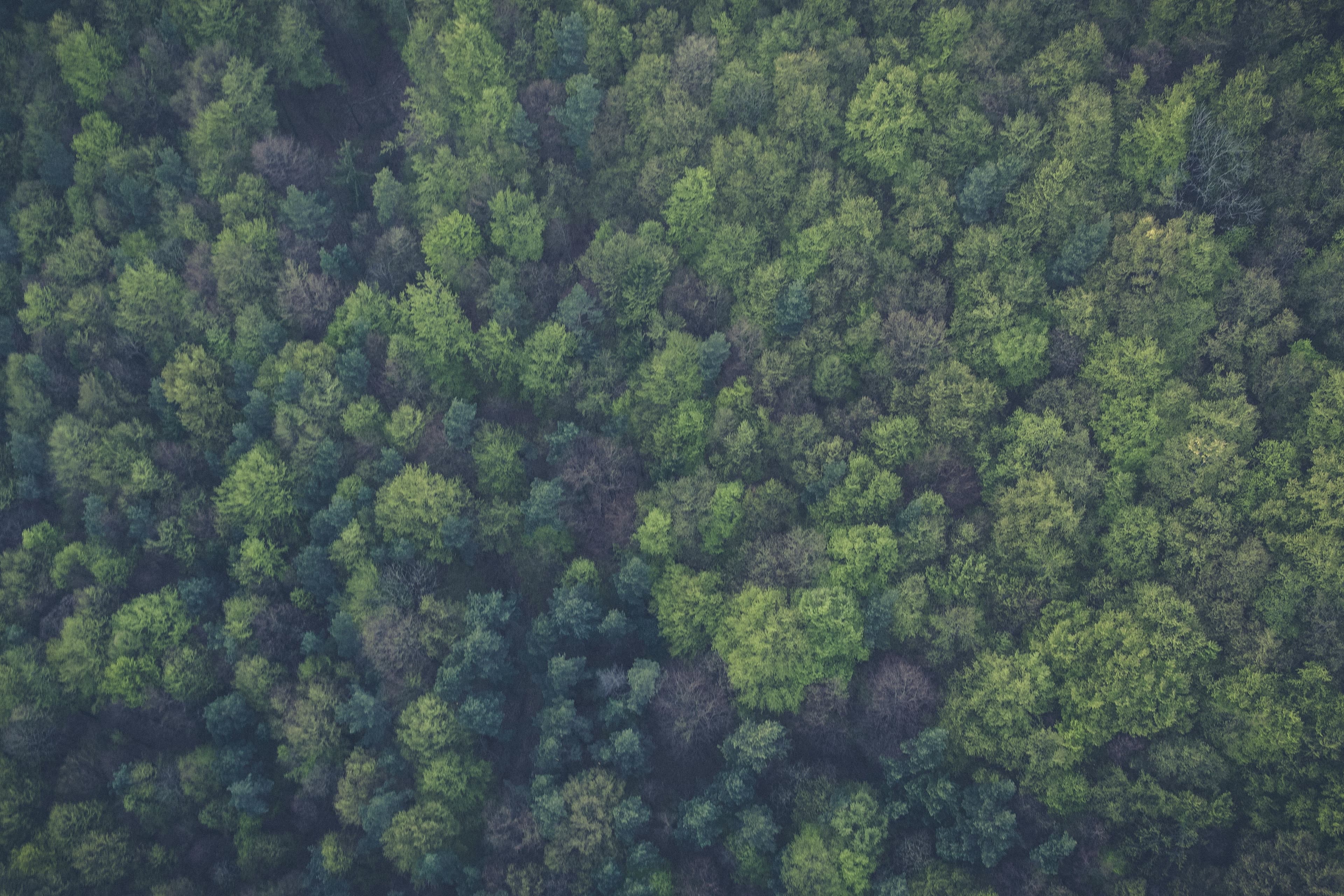 Local Projects Can Access More Than £100,000 Through Sustainable Development Fund