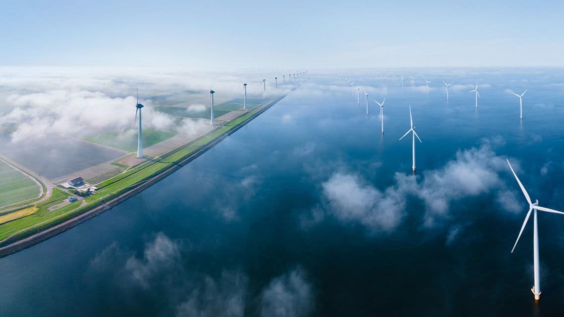 Deutsche Bank and BASF Ally for Greener Supply Chains