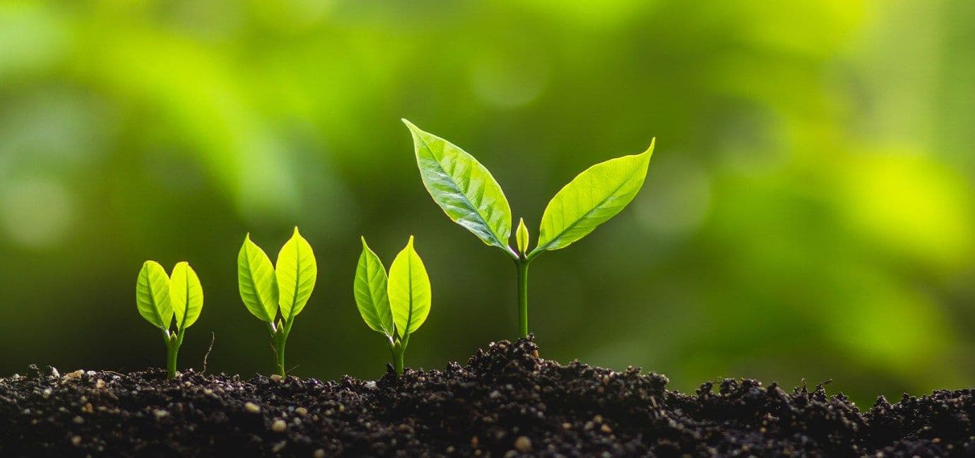 ESG ETFs Hold Top Appeal for European Investors
