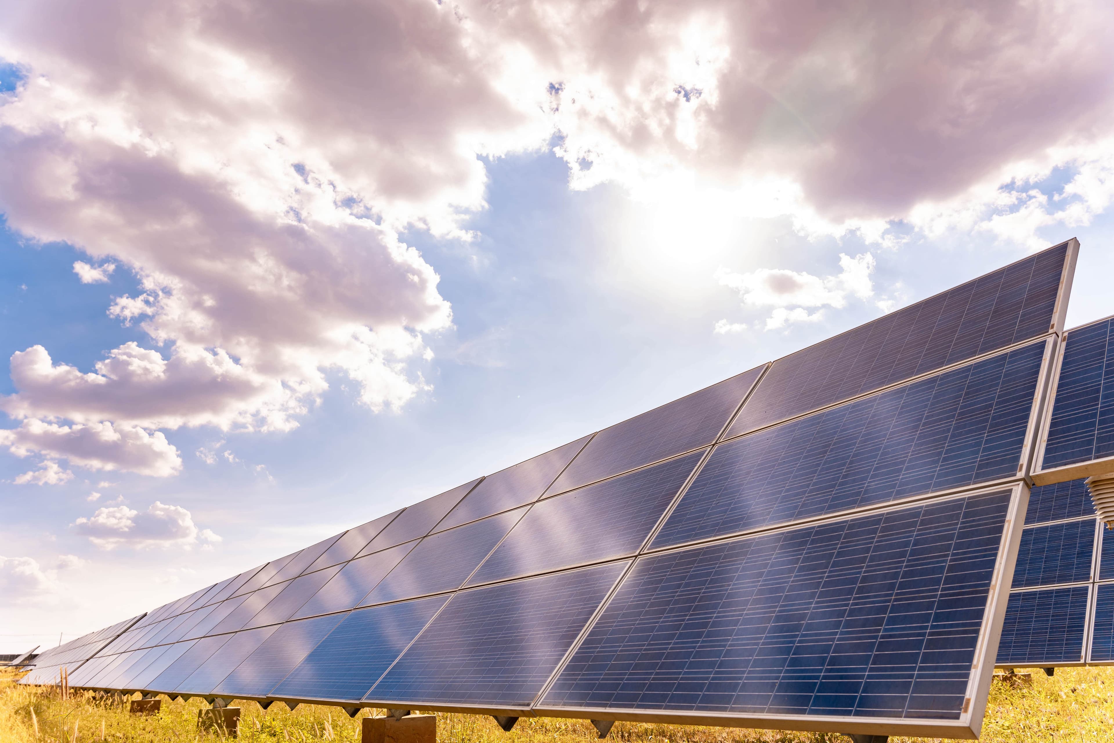 Scaling Sustainability Innovation