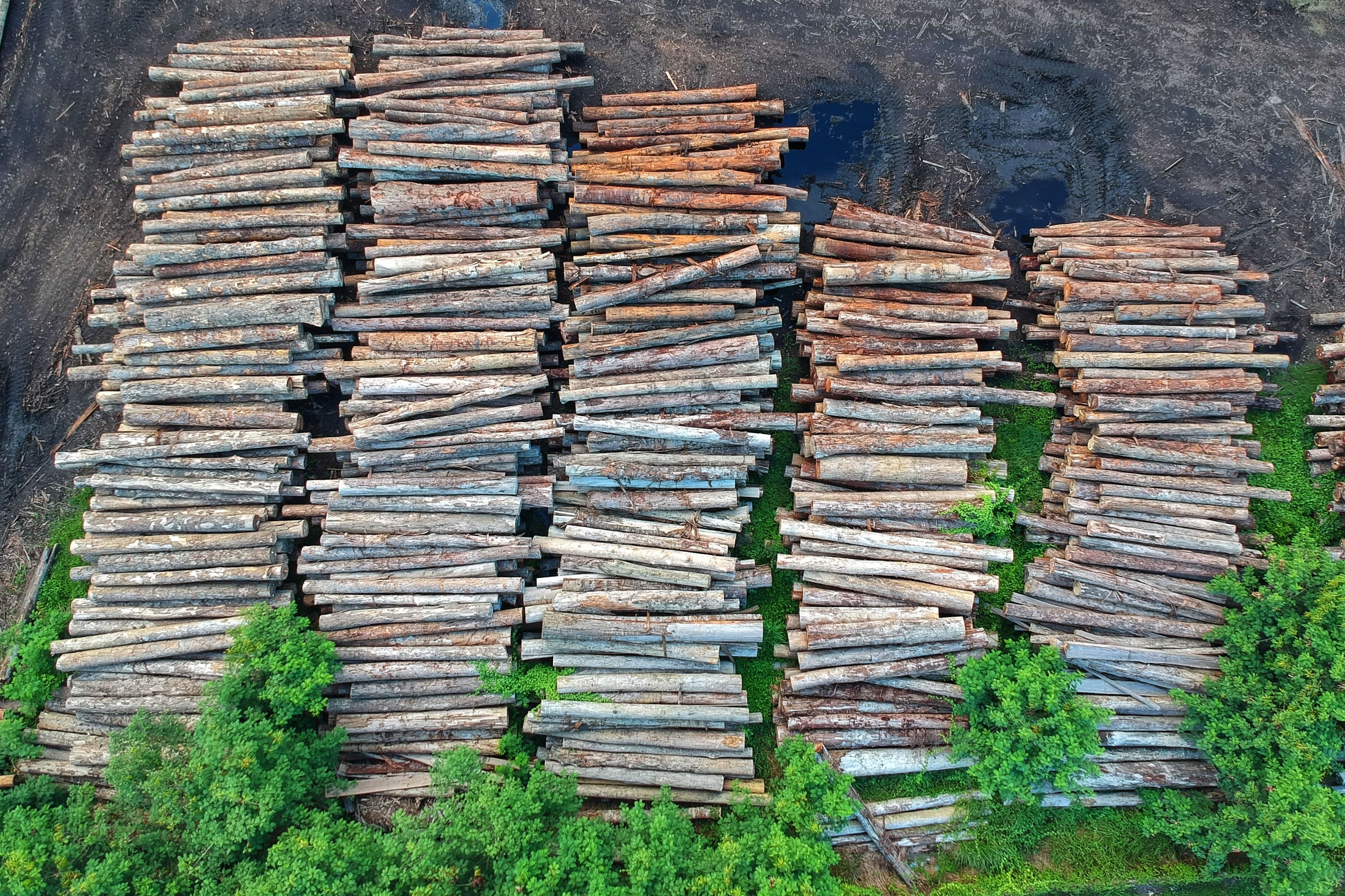 Deforestation in Amazon is at Record High, Prompting Alarm