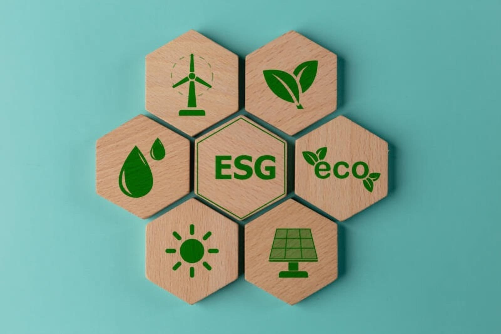 Corporate ESG and Sustainability - 101 Level Masterclass