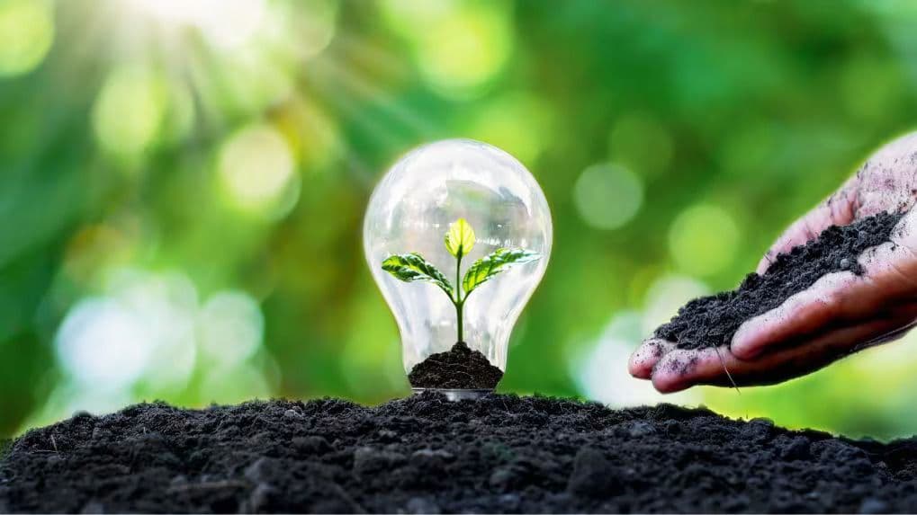 Mexico’s Largest Sustainable Bond Issue on the Cards