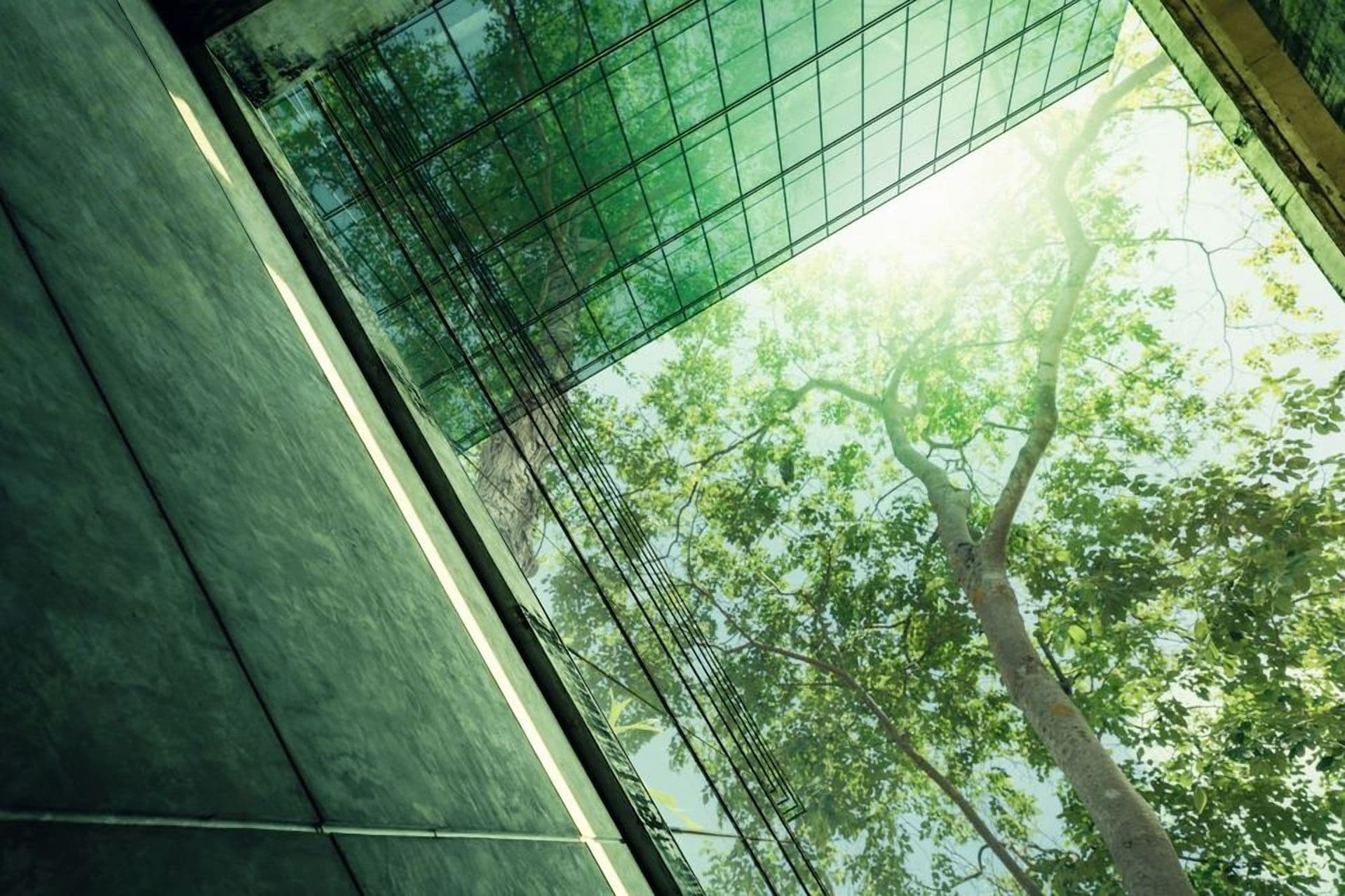 FCA's ESG Labelling Rules Delayed