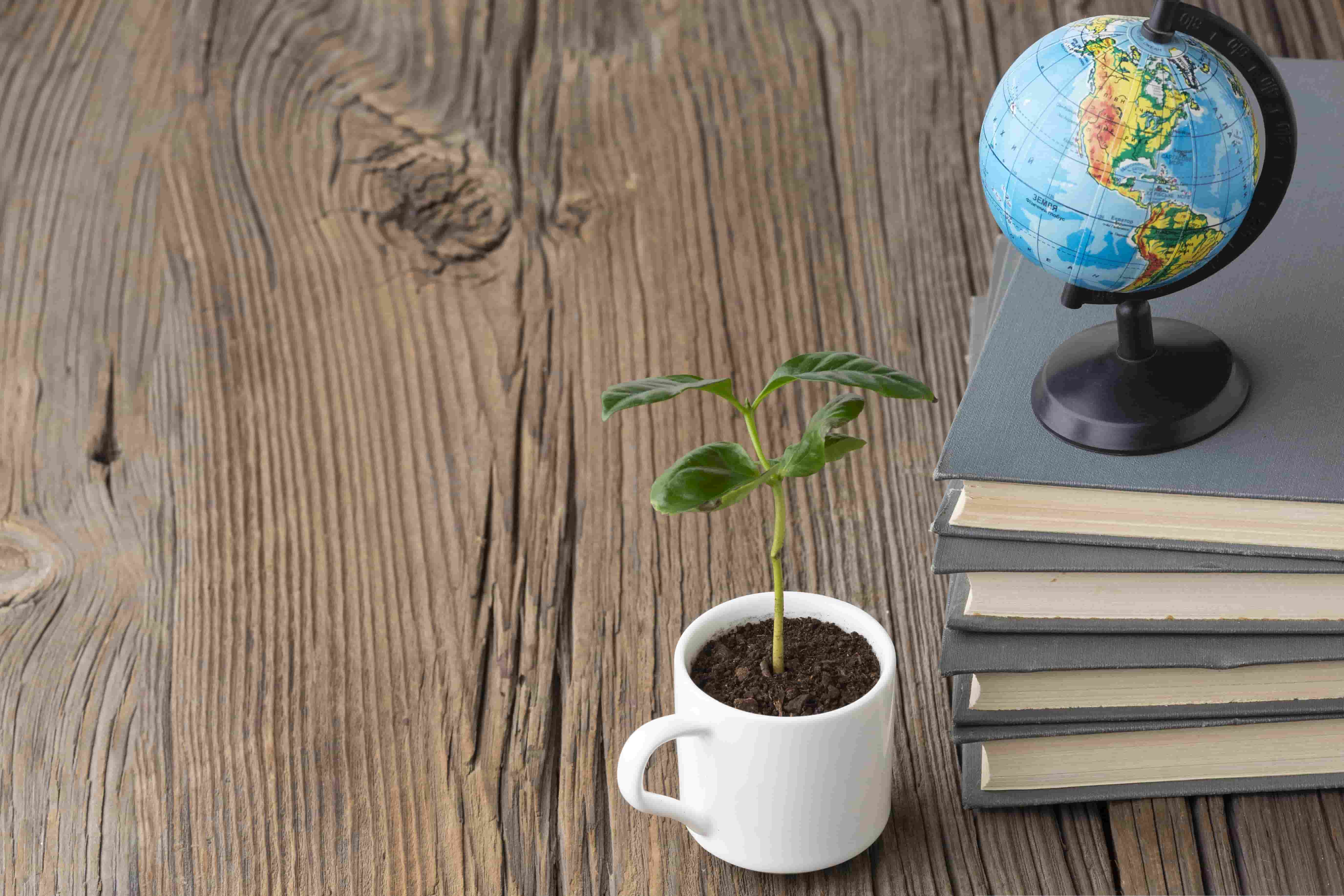 ESG Academic Pathway Unveiled: DIU–Swisscontact Collaboration to Shape RMG’s Future