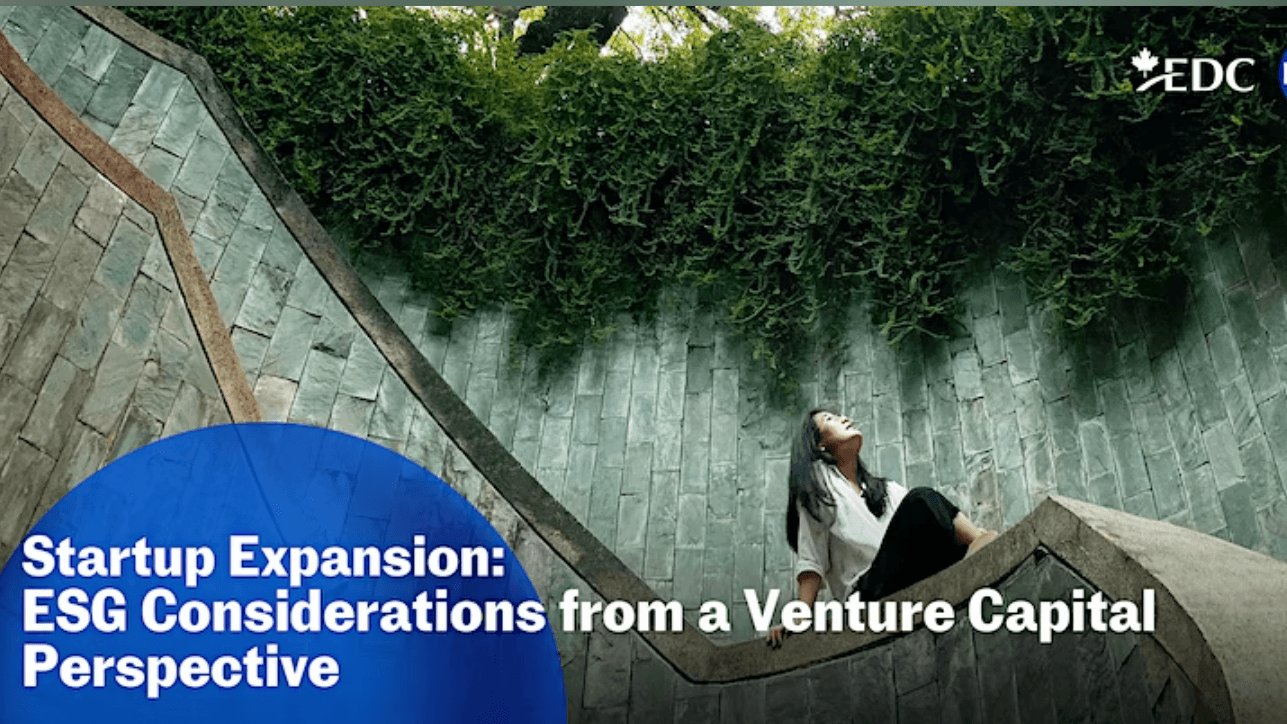 Startup Expansion: ESG considerations from a venture capital perspective