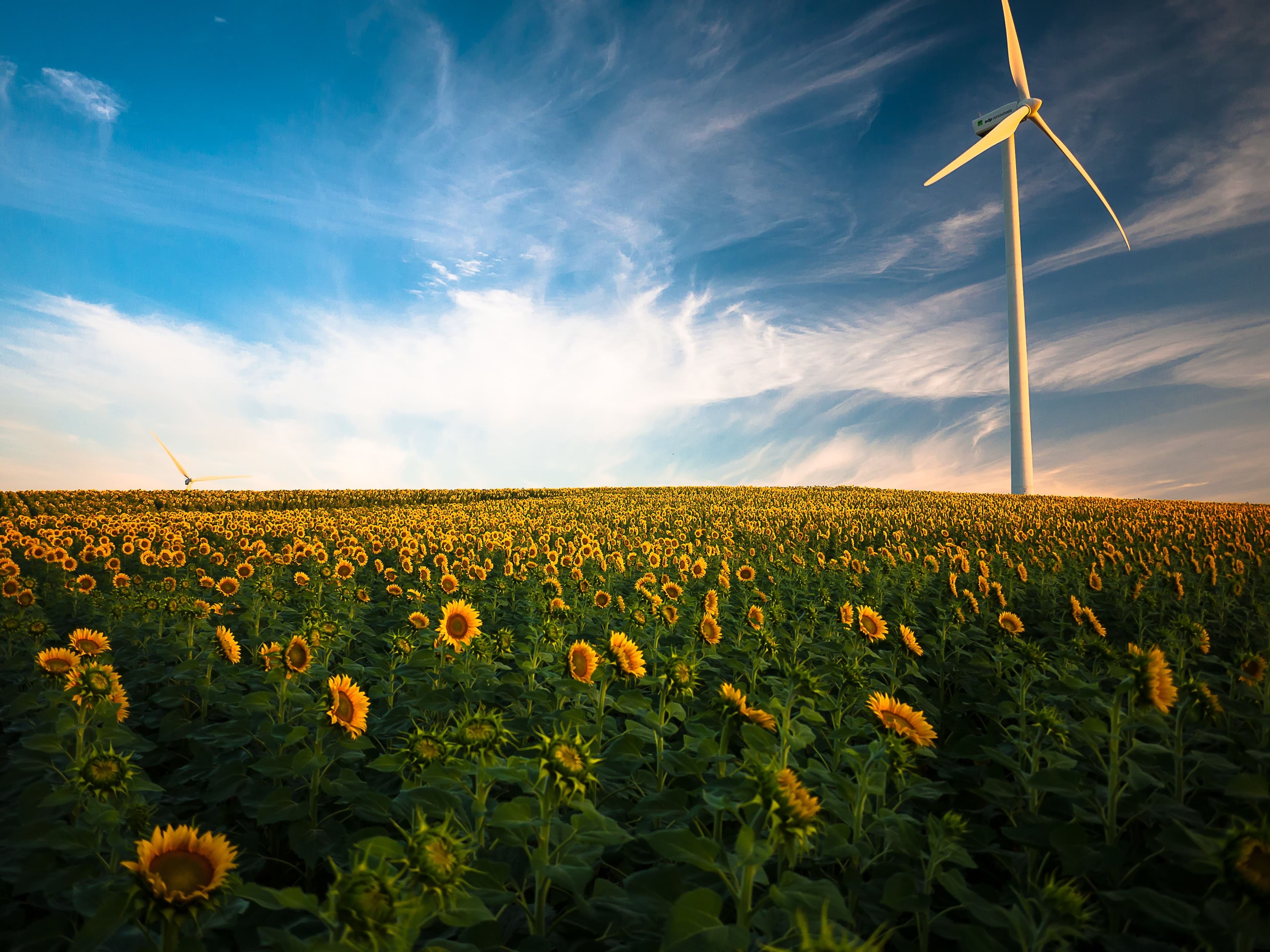 ESG Opportunities are Plenty But Effective Planning Helps Reap Benefits