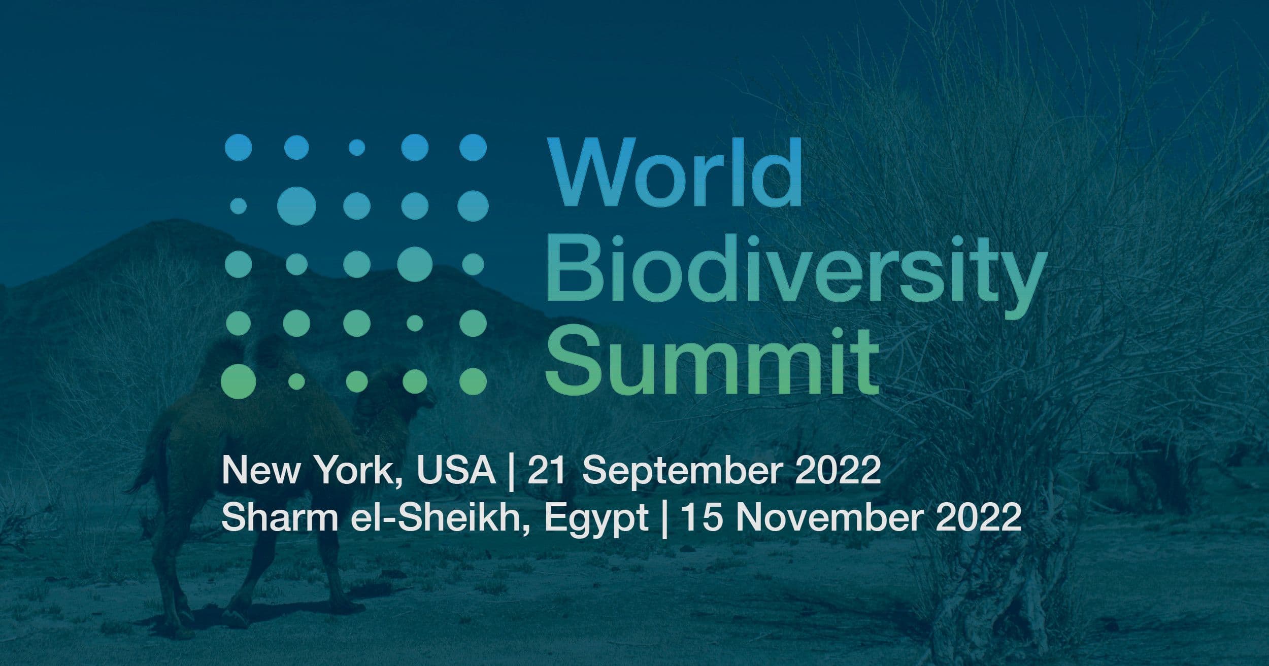 World Biodiversity Summit