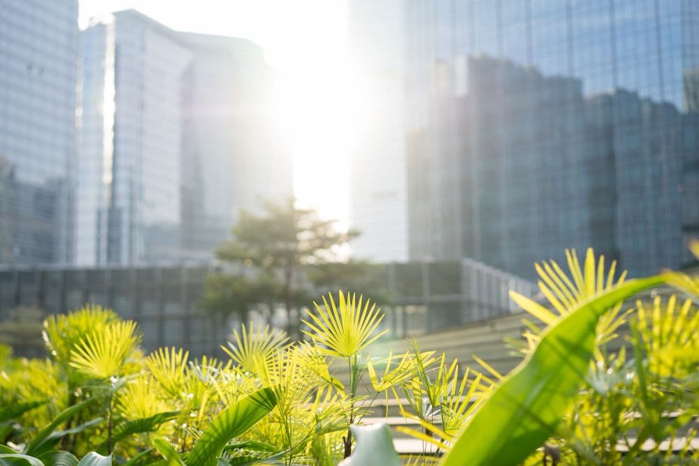 ESG Bay Secures £135K to Boost Green Assessments