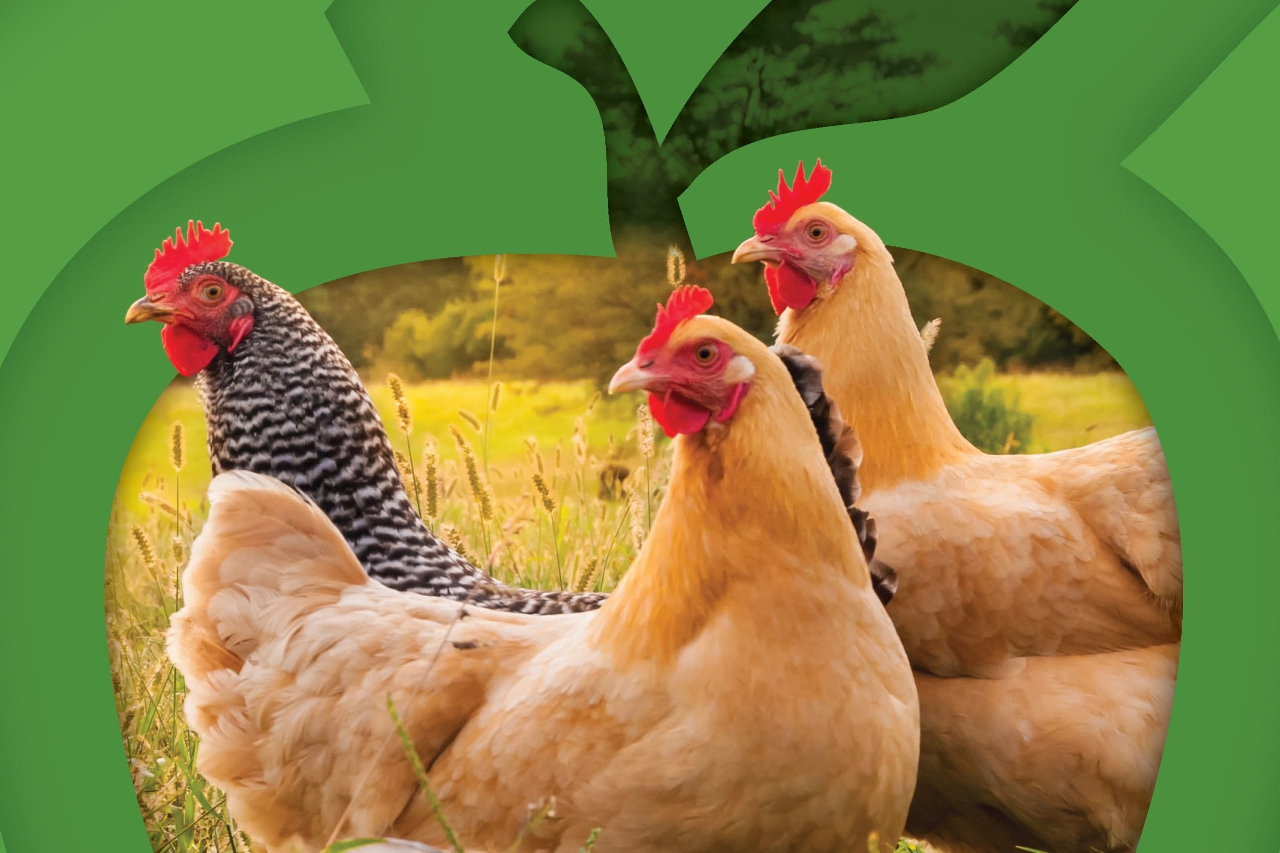 Natural Grocers® Publishes 2023 ESG Report