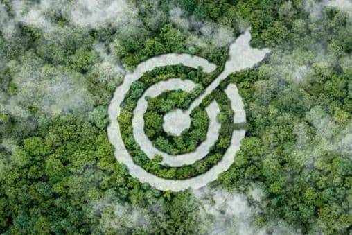 Strategy and Sustainability